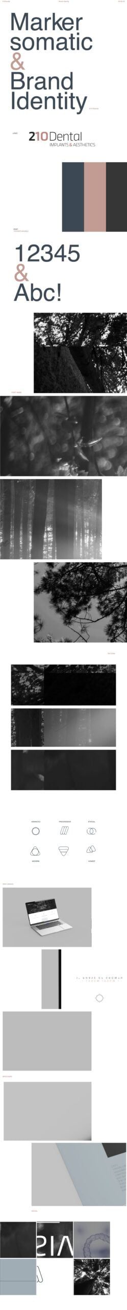 ideandum dental marketing